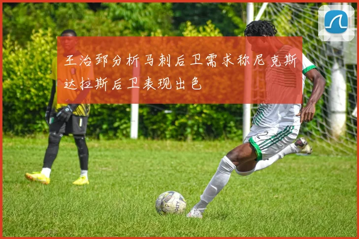 王治郅分析马刺后卫需求称尼克斯达拉斯后卫表现出色